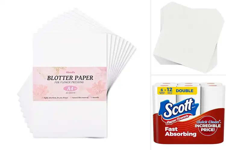 Detailed view of Best Absorbent Papers: Top 10 Picks for Mess-Free Living