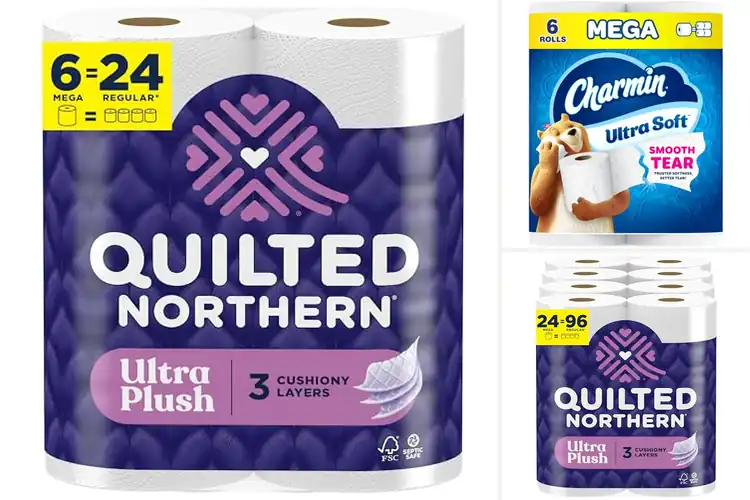 Detailed view of Best Absorbent Toilet Papers: Top 10 Soft & Strong Picks