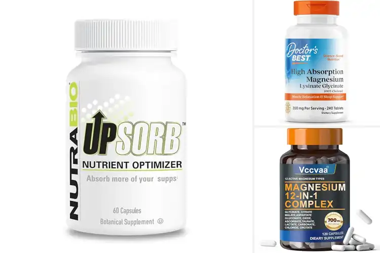 Detailed view of Best Absorption Supplements