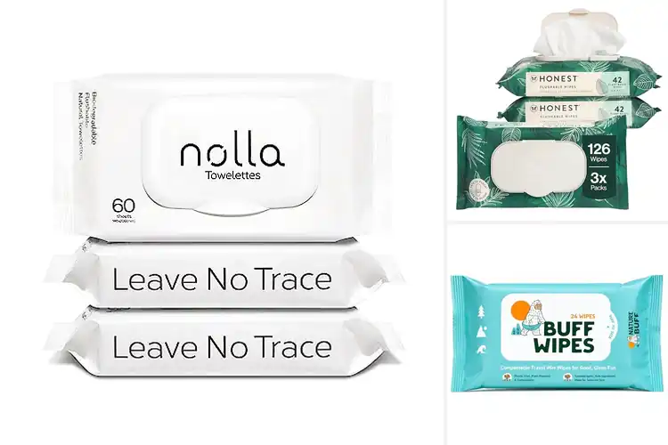 Detailed view of Best Biodegradable Wipes for a Cleaner, Greener You