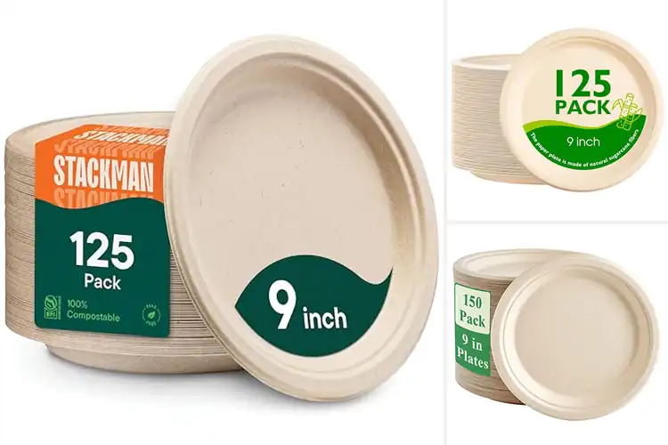 Detailed view of Best Compostable Paper Plates