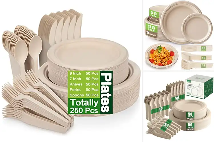 Detailed view of Best Compostable Plate Sets