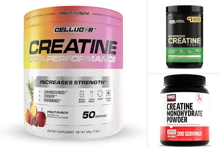 Detailed view of Best Creatine Powder For Muscle Endurance