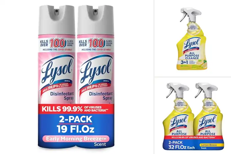 Detailed view of Best Disinfectant Sprays: Top Picks for a Clean, Safe Home