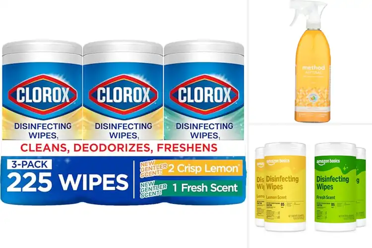 Detailed view of Best Disinfecting Products: Top Picks for a Clean, Safe Home