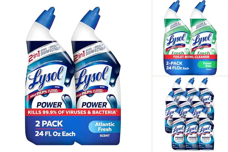 Detailed view of Best Disinfecting Toilet Cleaners
