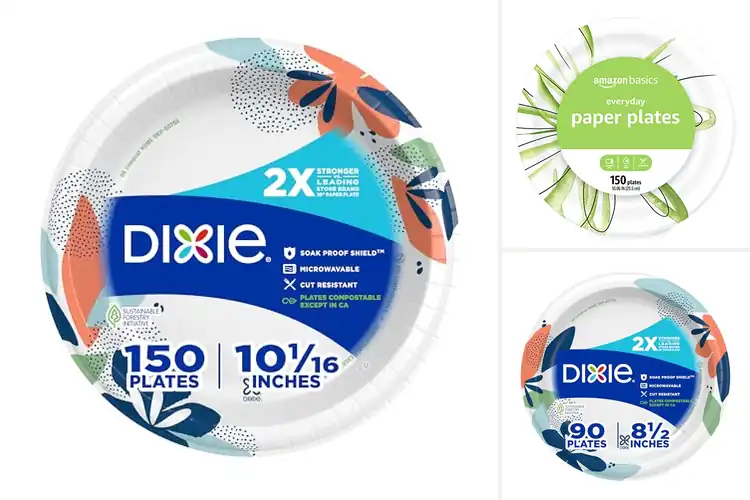 Detailed view of Best Disposable Dinner Plates
