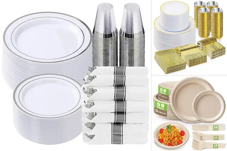 Detailed view of Best Disposable Dinnerware