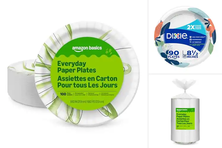 Detailed view of Best Disposable Lunch Plates