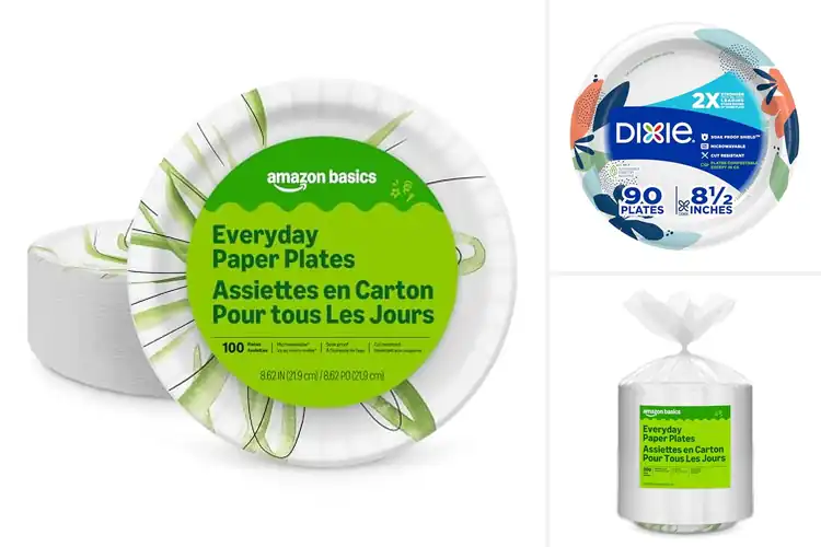 Detailed view of Best Disposable Paper Plates