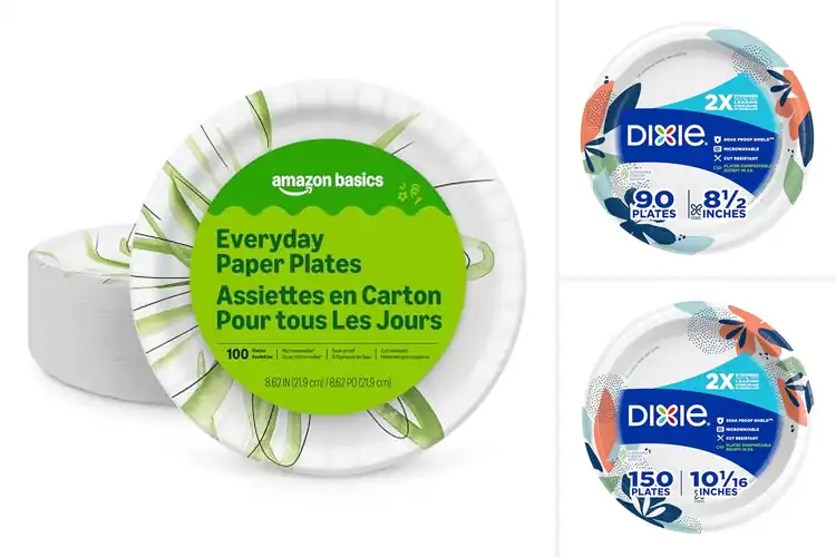 Detailed view of Best Disposable Plates