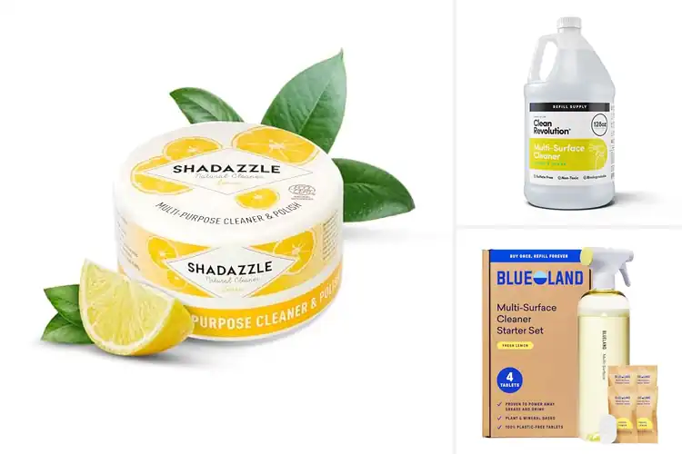 Detailed view of Best Eco-Friendly Cleaners