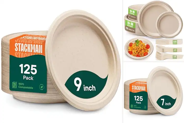 Detailed view of Best Eco-Friendly Plates: Top Picks for Sustainable Dining