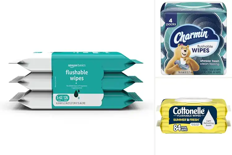 Detailed view of Best Flushable Wipes For One At A Time Flushing