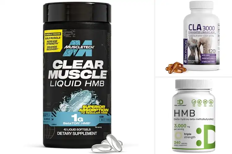 Detailed view of Best Lean Muscle Supplements