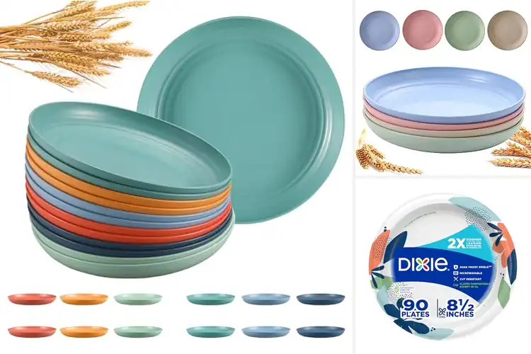 Detailed view of Best Microwavable Plates