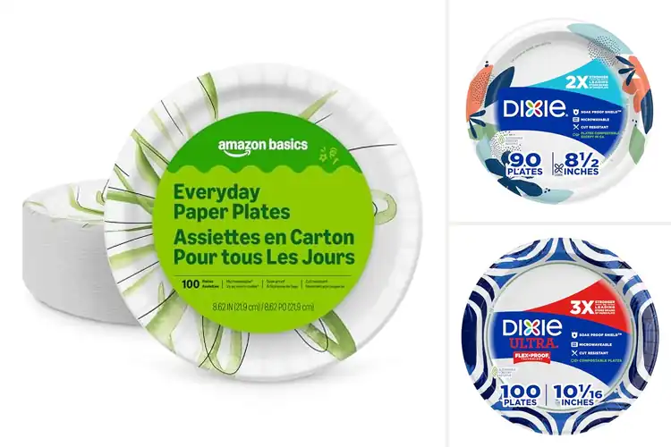 Detailed view of Best Microwave Safe Disposable Plates