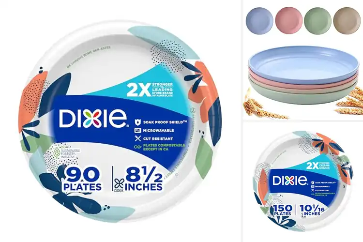 Detailed view of Best Microwave Safe Plates