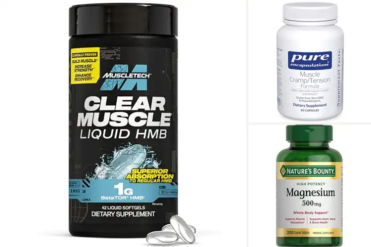 Detailed view of Best Muscle Function Supplements
