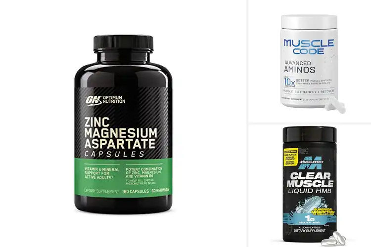 Detailed view of Best Muscle Support Supplements