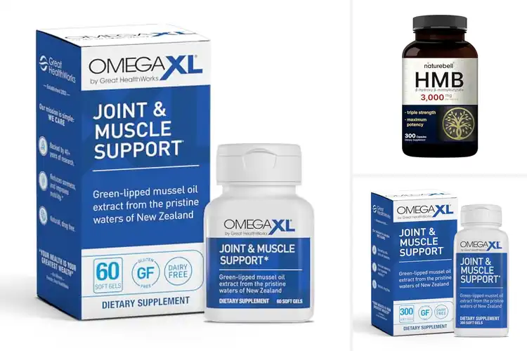 Detailed view of Best Muscle Supports