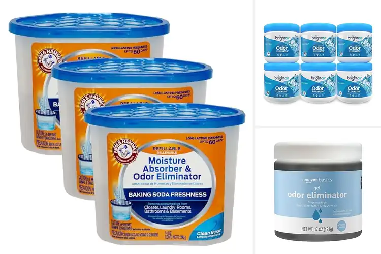 Detailed view of Best Odor Eliminators: Freshen Your Space with Top Picks