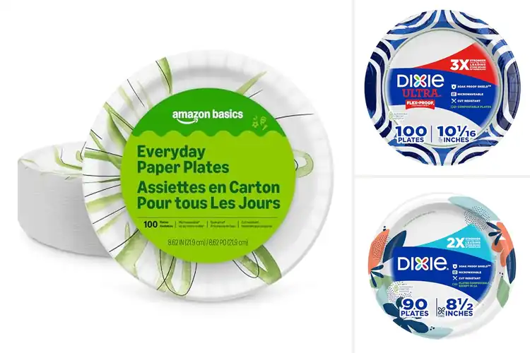 Detailed view of Best Picnic Plates