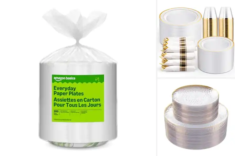 Detailed view of Best Plates For Parties