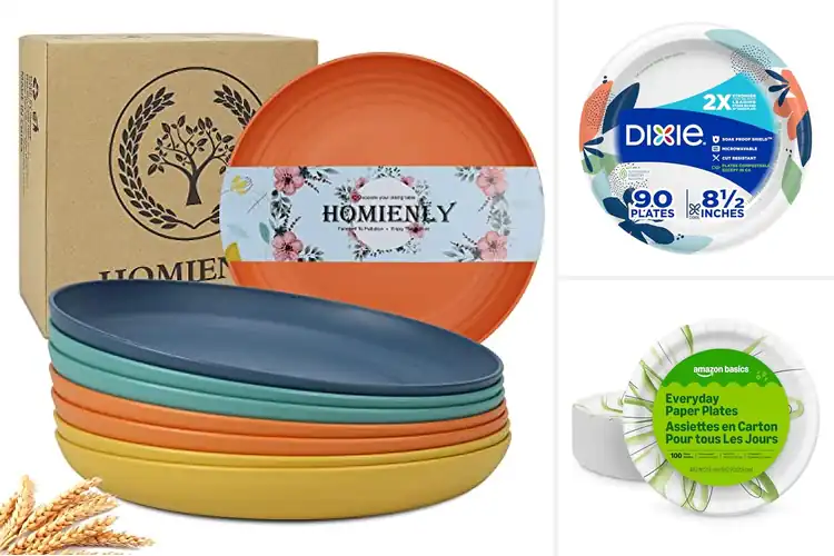 Detailed view of Best Plates For Picnics