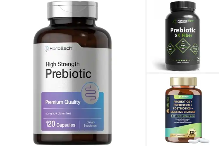 Detailed view of Best Prebiotic Supplements