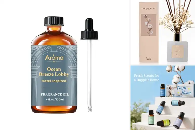 Detailed view of Best Room Fragrance Oils: Top Scents to Elevate Your Space