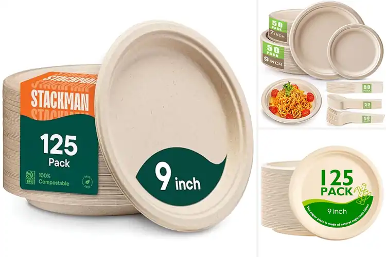 Detailed view of Best Sustainable Paper Plates: Eco-Friendly Dining