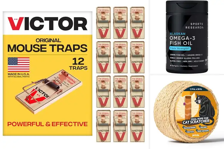 Detailed view of Best Sustainably Sourced Products