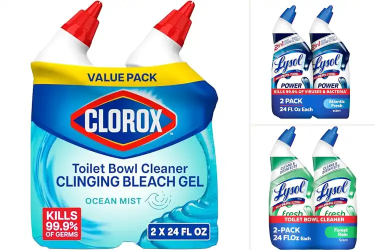 Detailed view of Best Toilet Bowl Cleaners